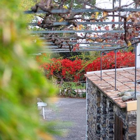Ourmadeira - Loja Da Lenha, Charming Apartment Funchal  Ngoại thất bức ảnh