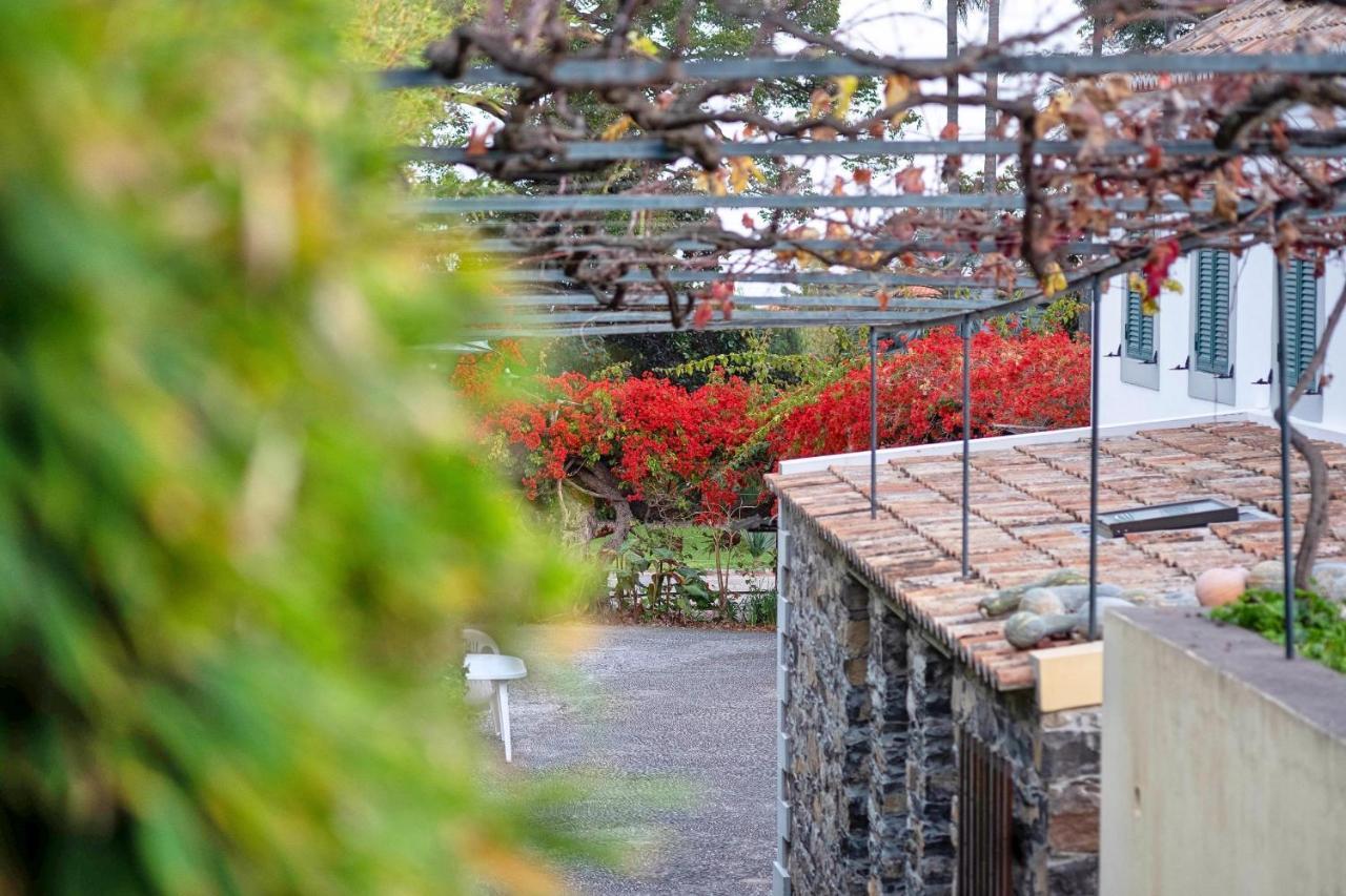 Ourmadeira - Loja Da Lenha, Charming Apartment Funchal  Ngoại thất bức ảnh