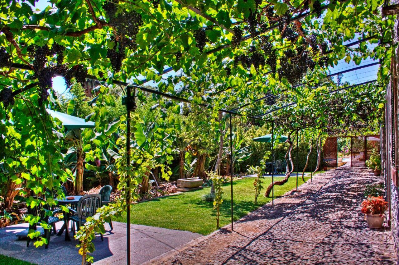 Ourmadeira - Loja Da Lenha, Charming Apartment Funchal  Ngoại thất bức ảnh