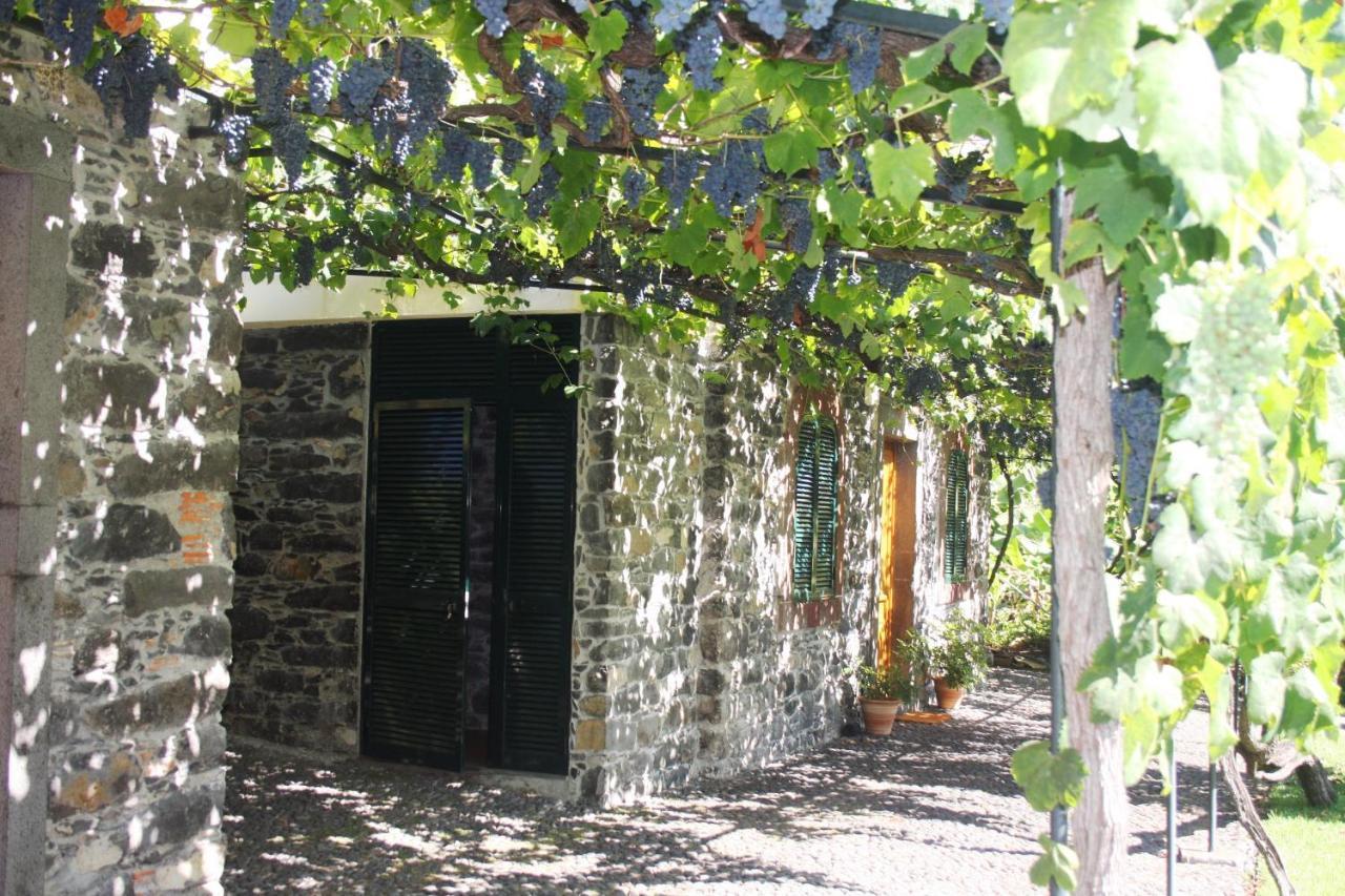 Ourmadeira - Loja Da Lenha, Charming Apartment Funchal  Ngoại thất bức ảnh